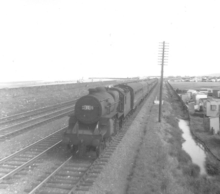 Watching The Trains Watching The Trains